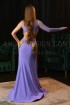 Professional bellydance costume (Classic 258 A_1)
